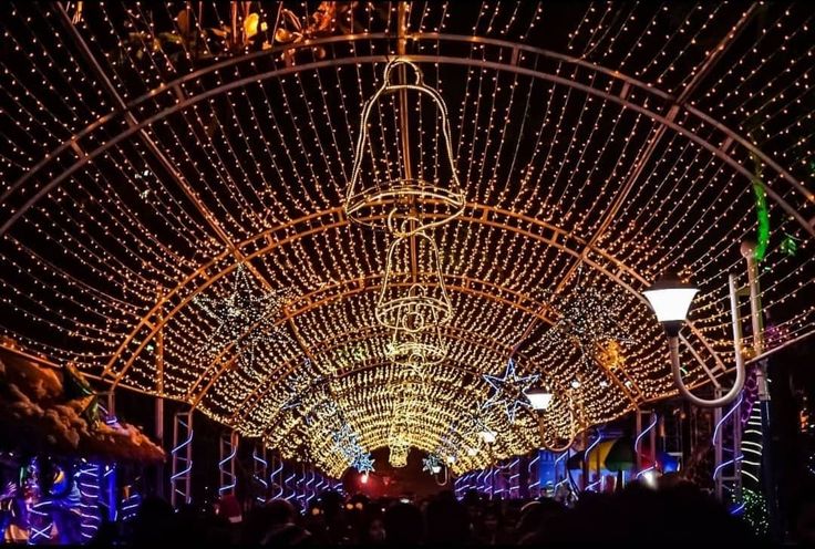 Best Tourist Places to Visit in Kolkata